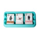 بازی فکری مدل Wingspan