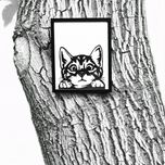 تابلو مدل گربه کیوت