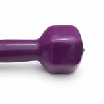دمبل مدل GS-M-333337 وزن 2 کیلوگرم بسته دو عددی