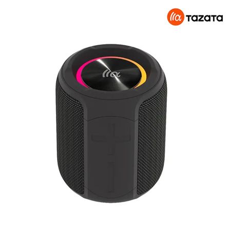 Speaker TAZATA PALM 100