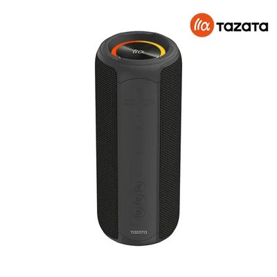 Speaker TAZATA PALM 300