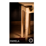 PAMELA(پاملا)
