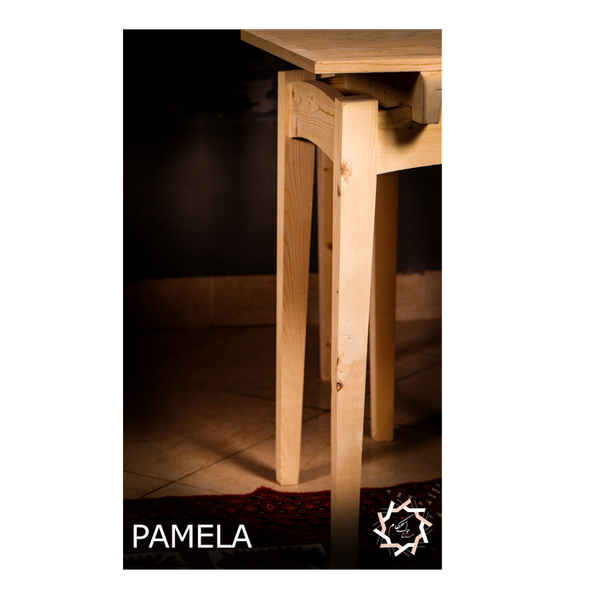 PAMELA(پاملا)