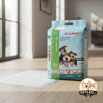 پد بهداشتی و آموزشی اکونومی کندی 11 عددی (Candy)