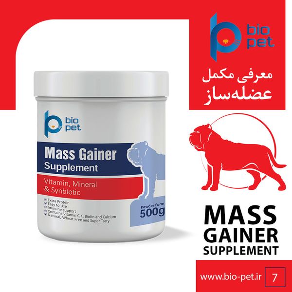 مکمل عضله‌ساز سگ بایو پت مدل Mass Gainer وزن 400 گرم