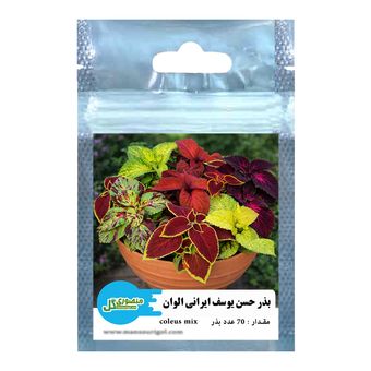 بذر حسن یوسف ایرانی الوان منصوری گل کد Msc70 وزن 0.5 گرم
