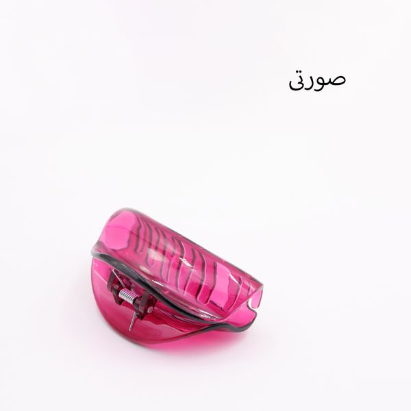 کلیپس مو زنانه مدل 251