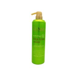 شامپو گلامور حجم 750 میلی‌لیتر (Glamor tea tree mint shampoo)