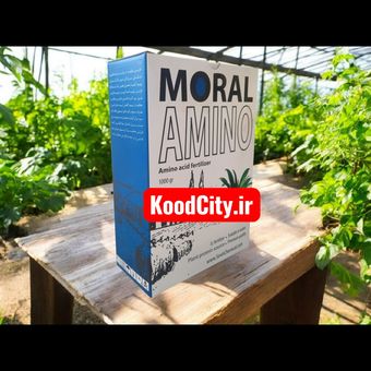 کود آمینو اسید مورال آمینو Moral Amino
