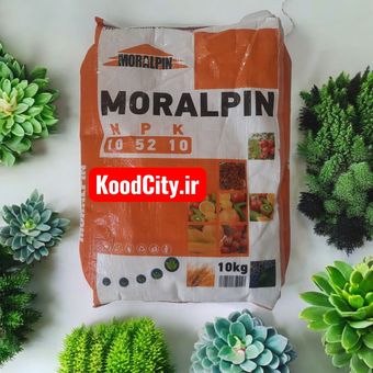 کود کامل مورال پین 10-52-10