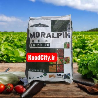 کود کامل مورال پین 20-20-20