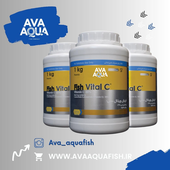 مکمل تخصصی فیش ویتال سی | ®Fish Vital C (ویتامین C خالص 35٪)