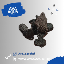 پوکه معدنی آتشفشانی مخصوص آکواریوم (Volcanic Pumice)