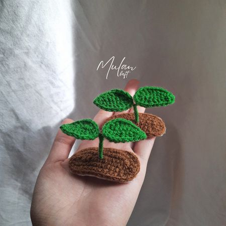 گلسر/گیره جوانه/برگ