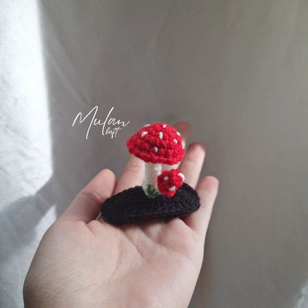 گلسر/ گیره قارچ