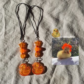 فونچارم اردک