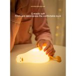 چراغ خواب اردک