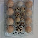 تخم مرغ محلی و تخم بلدرچین میکس