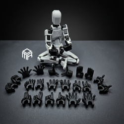 پک دست دامی 13 hand dummy13