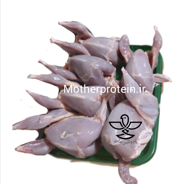 گوشت بلدرچین تازه (آبگوشتی)