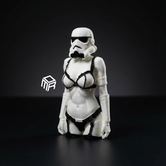 فیگور استورم تروپر زن Stormtroopers