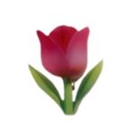 گیره مو ایموجی لاله انبری