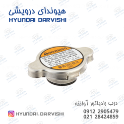 درب رادیات آوانته