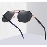 عینک آفتابی آلبرت وگ مدل 6314C99-P101 Avantgarde Visionary