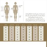 شومیز آستین بلند زنانه مدل SN-BD-1298239193