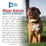 مکمل عضله‌ساز سگ بایو پت مدل Mass Gainer وزن 400 گرم
