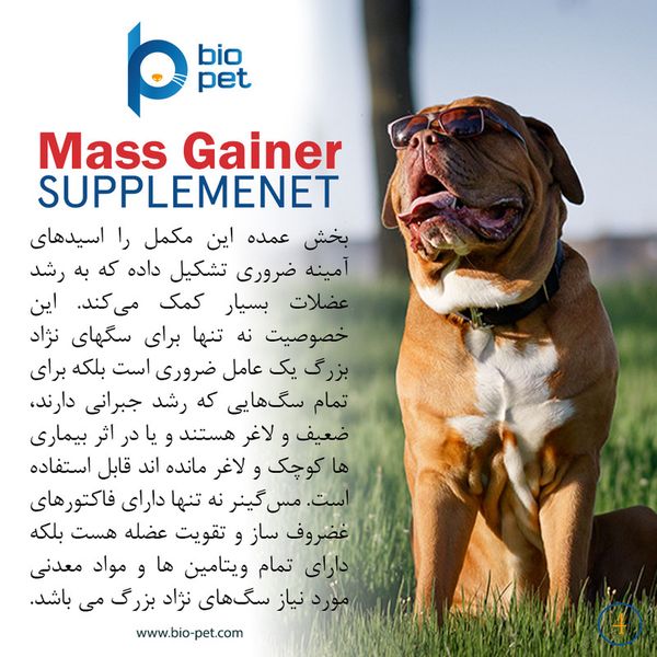 مکمل عضله‌ساز سگ بایو پت مدل Mass Gainer وزن 400 گرم