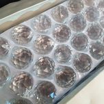 کریستال لوستر مدل گوی شماره سی بسته 102 عددی*586