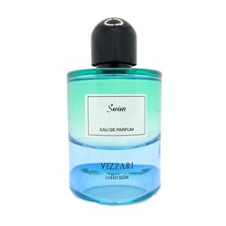 ادوپرفیوم ویزاری مدل SWIM با رایحه خنک حجم 100 میلی‌لیتر*858