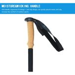 عصای کوهنوردی اکسپوننت مدل ABD-3-8512 بسته 2 عددی