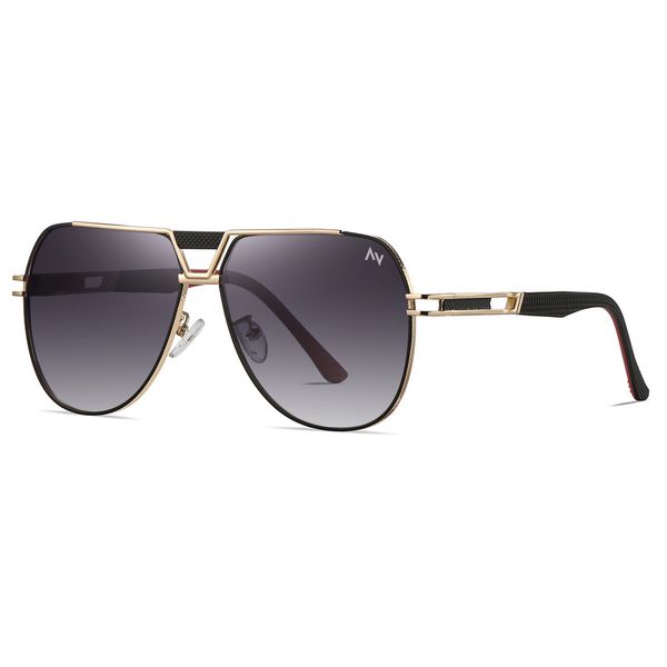 عینک آفتابی خلبانی (Aviator) مردانه آلبرت وگ مدل JS8549-C218-P120 Polarized Avantgarde Visionary