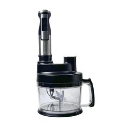 غذاساز دلمونتی مدل DL120