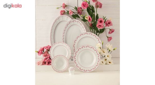 سرویس غذاخوری 29 پارچه چینی زرین ایران سری نئوکلاسیک مدل فرانسیس درجه عالی