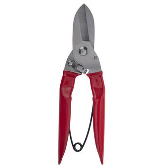 قیچی قند شکن