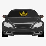 برچسب بدنه خودرو ماتریسیو طرح بال طلایی کد M27