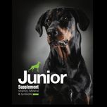 مکمل سگ بالغ و جوان بایو پت مدل Junior and Adult وزن 500 گرم
