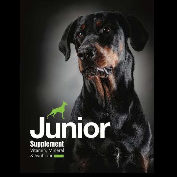 مکمل سگ بالغ و جوان بایو پت مدل Junior and Adult وزن 500 گرم