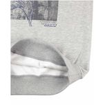 سویشرت مردانه مدل SB-SS-3609