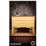RADWIN(رادوین)