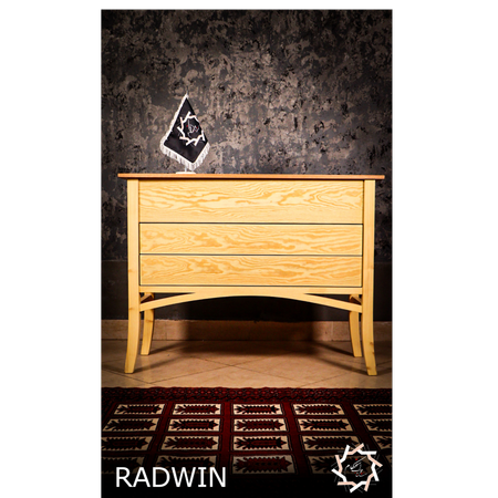 RADWIN(رادوین)