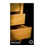 RADWIN(رادوین)