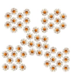 شمع شناور مدل بابونه مجموعه 50 عددی کد 1003