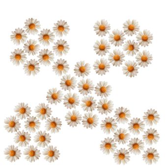 شمع شناور مدل بابونه مجموعه 50 عددی کد 1003