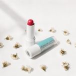 تینت لیپ بالم گیاهی | Tinted Lip Balm