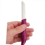 چاقو آشپزخانه فاردینوکس بسته 6 عددی