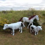 فیگور مدل حیوانات اهلی مجموعه 3 عددی